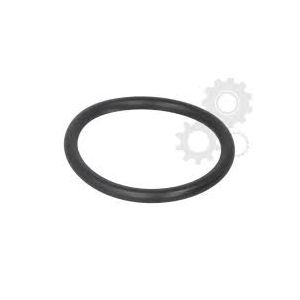 ORING CAJA 9S-1110