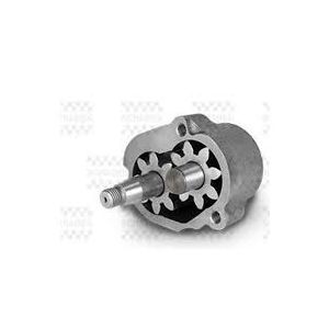 BOMBA ACEITE MOTOR MAN D0836 VW 17280