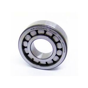 RULEMAN PILOTO EJE MS 124