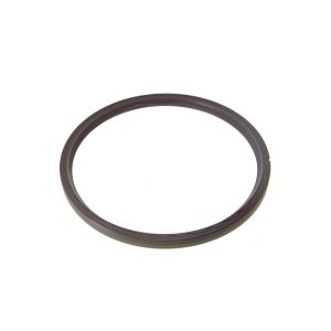 RETEN EJE TRASERO CUBO REDUCTOR STRALIS 6X4