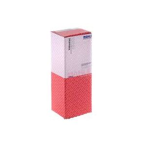 VALVULA ADMISION MWM MAXX FORCE