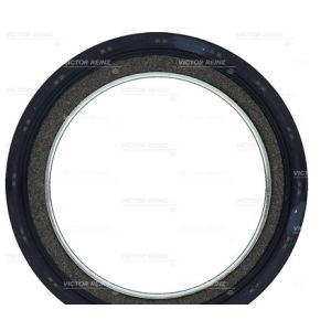 RETEN DISTRIBUCION CURSOR 8 CAVALLINO