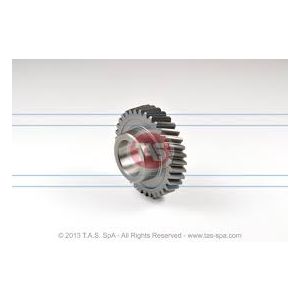 ENGRANAJE CONSTANTE 16S1650 IVECO