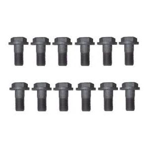 KIT TORNILLO CORONA DANA 284