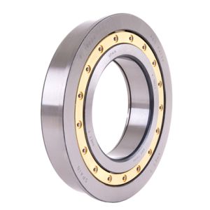 RULEMAN DIRECTA 16S130-1650