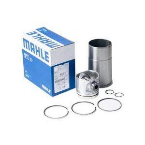 CONJUNTO MOTOR MWM MAX FORCE EURO 5