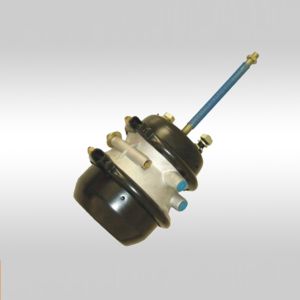 SPRING BREAK 24/30 DD