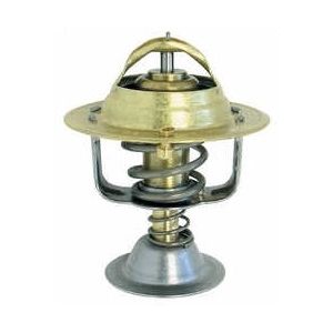 TERMOSTATO MAXION 2.5